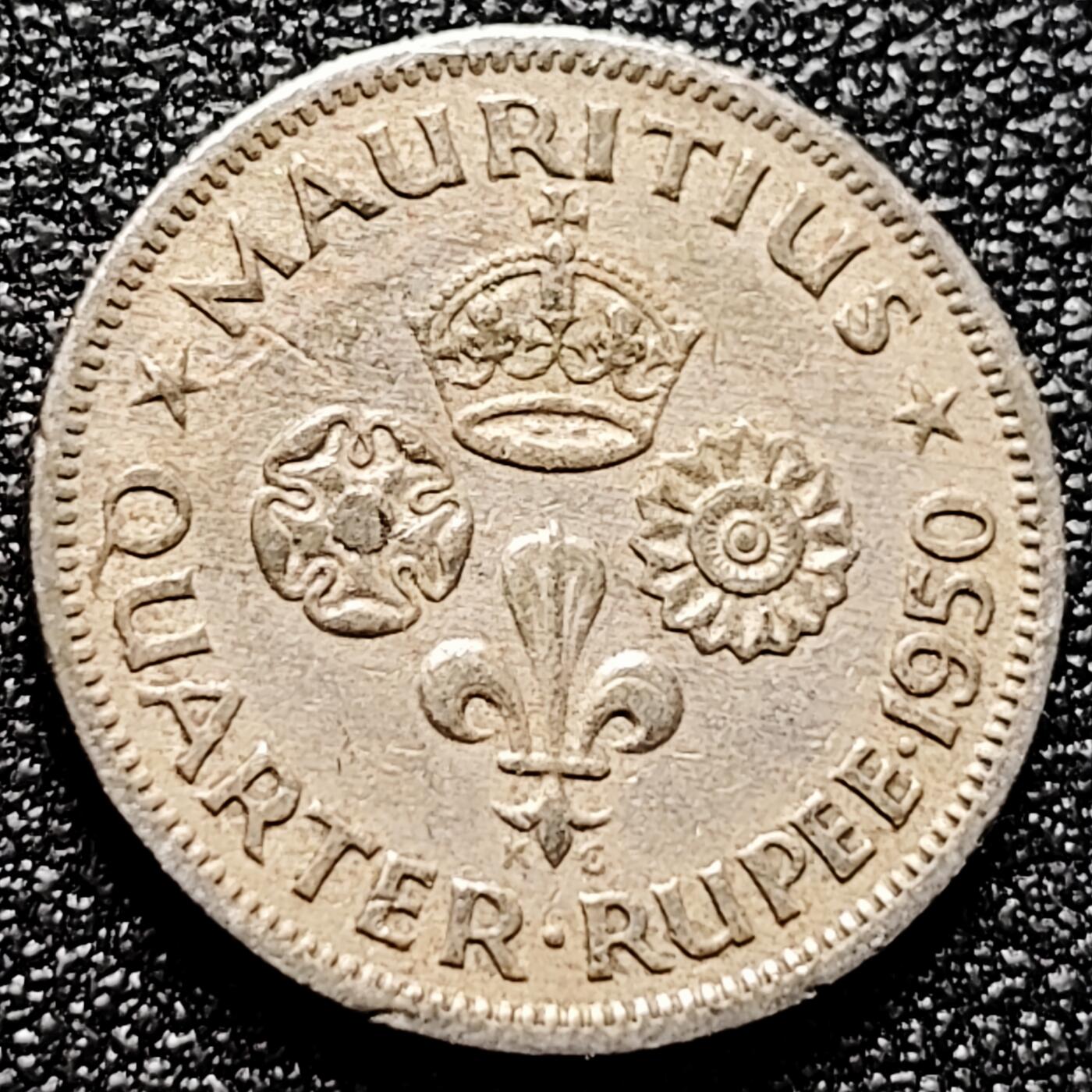 泉币菌-第172场- 精品福利场 。