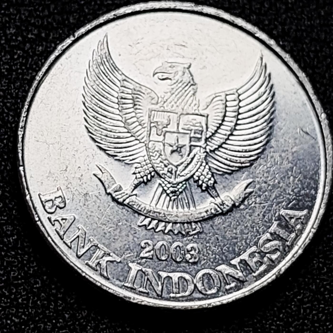 泉币菌-第172场- 精品福利场 。