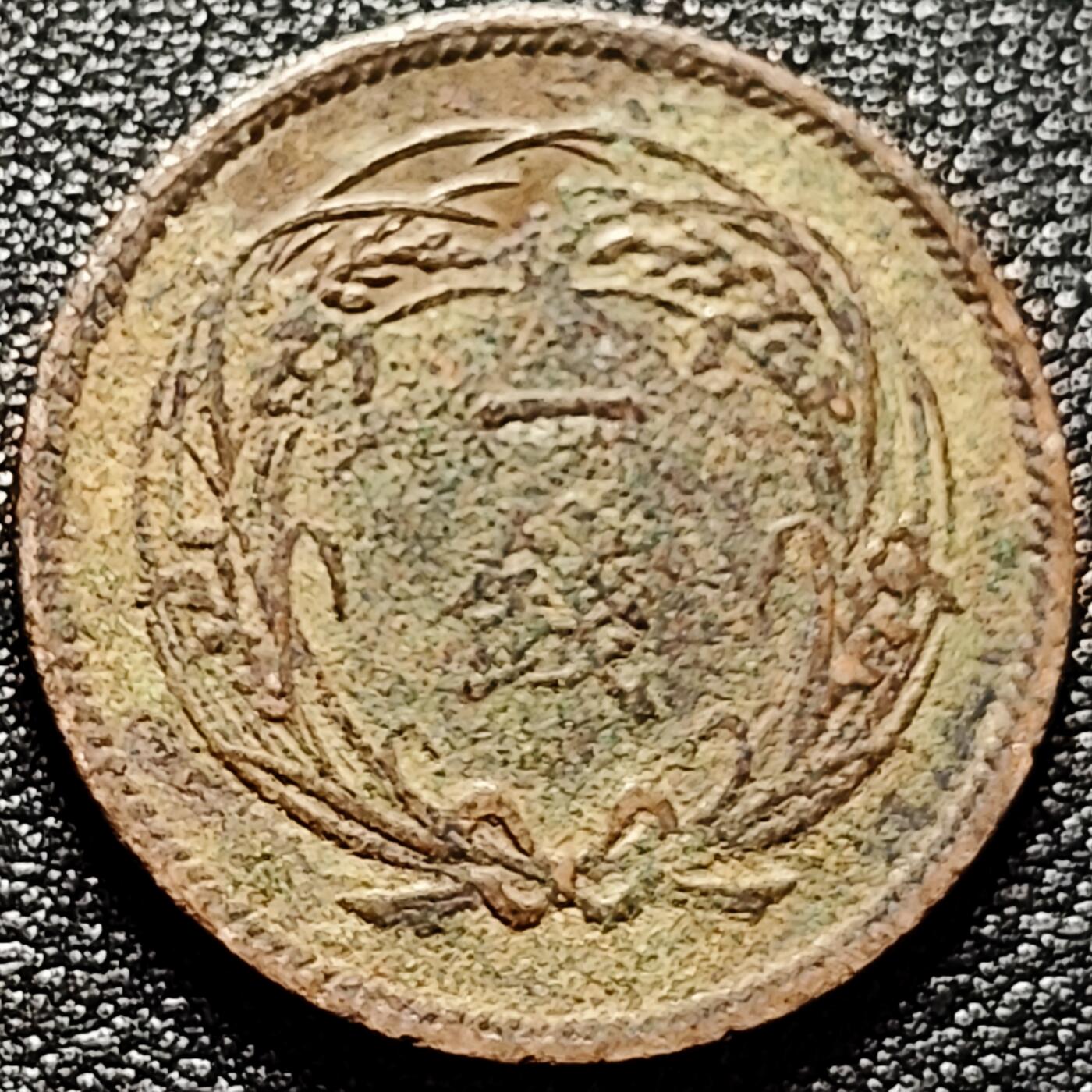 泉币菌-第172场- 精品福利场 。