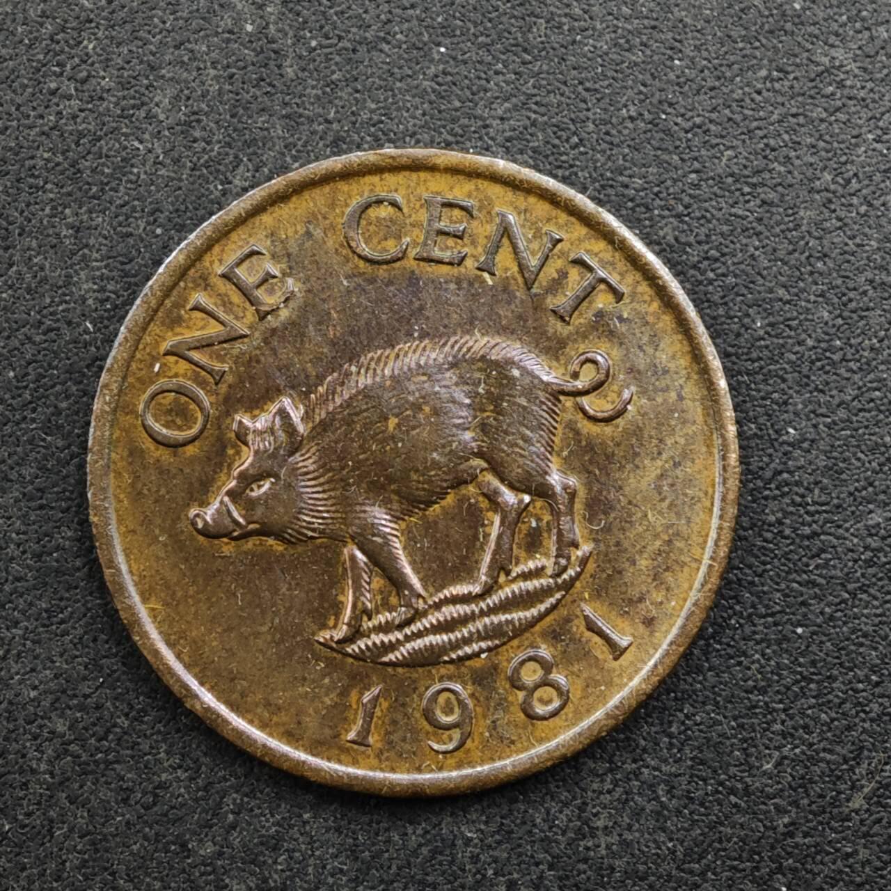 【淘币小摊】实时拍第八百五十拍   散币银币场   满百包邮可预留二周 每周一统一发货  