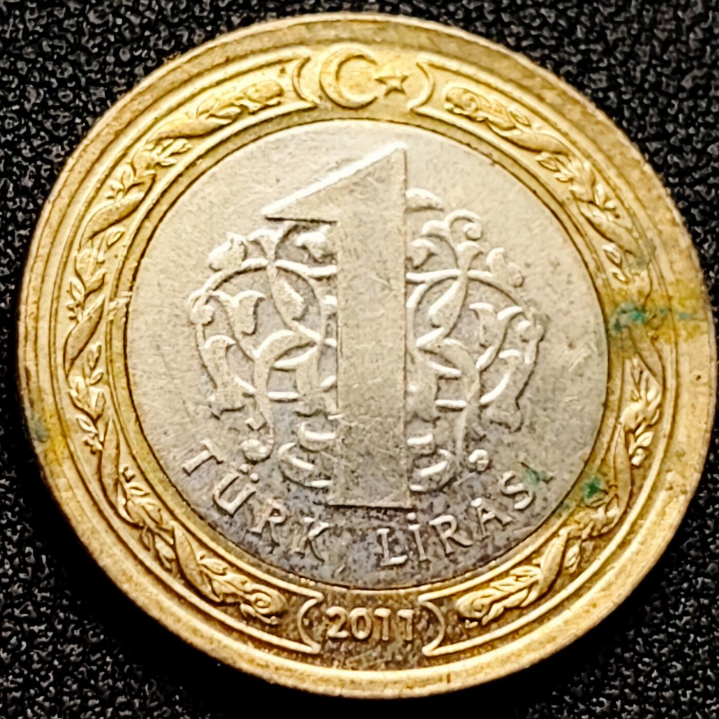 泉币菌-第172场- 精品福利场 。