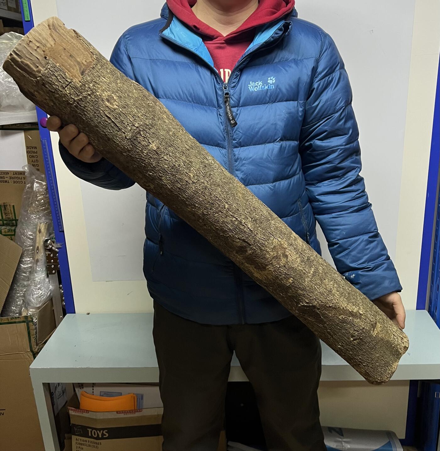 零元拍： 01-17-6金丝楠 原木 风水柱 横财（材）带皮， 尺寸：87/12/13CM。5.6公斤，抛光后金灿灿满香。