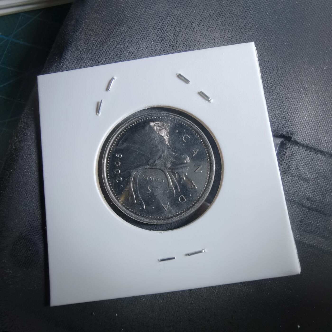 沼泽如烟--第966场