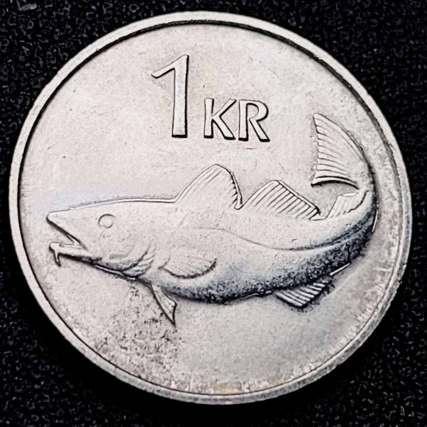 泉币菌-第172场- 精品福利场 。