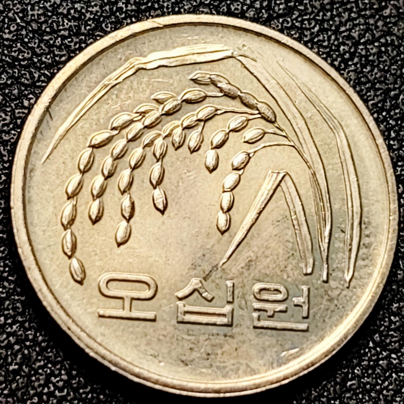 泉币菌-第172场- 精品福利场 。