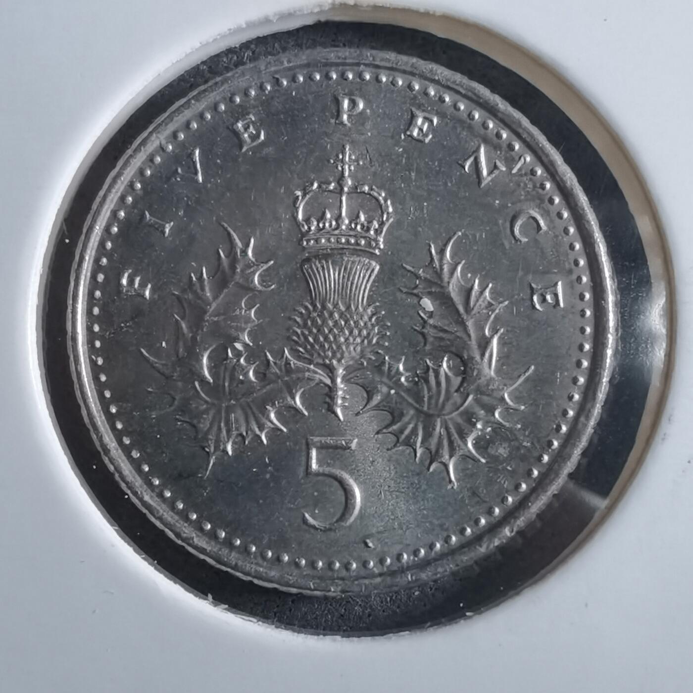 沼泽如烟--第966场