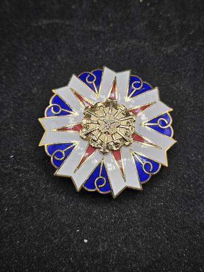 0元起拍勋章 第327期 咸鱼国勋章拍卖专场 1月21日（周三）下午6：00开始 - 消防团纪念章