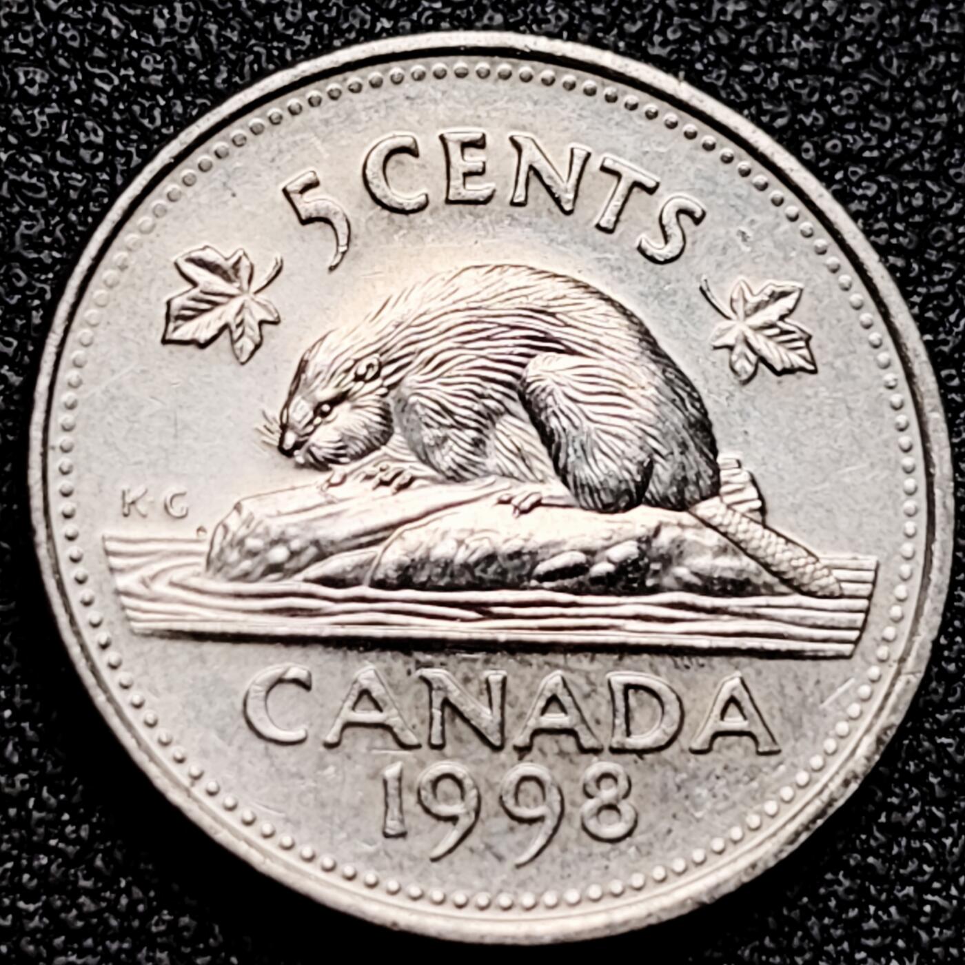 泉币菌-第172场- 精品福利场 。