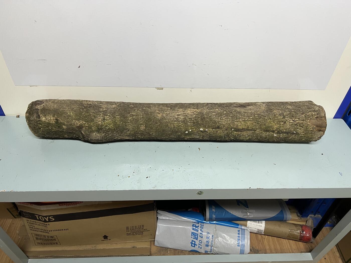 零元拍： 01-17-6金丝楠 原木 风水柱 横财（材）带皮， 尺寸：87/12/13CM。5.6公斤，抛光后金灿灿满香。