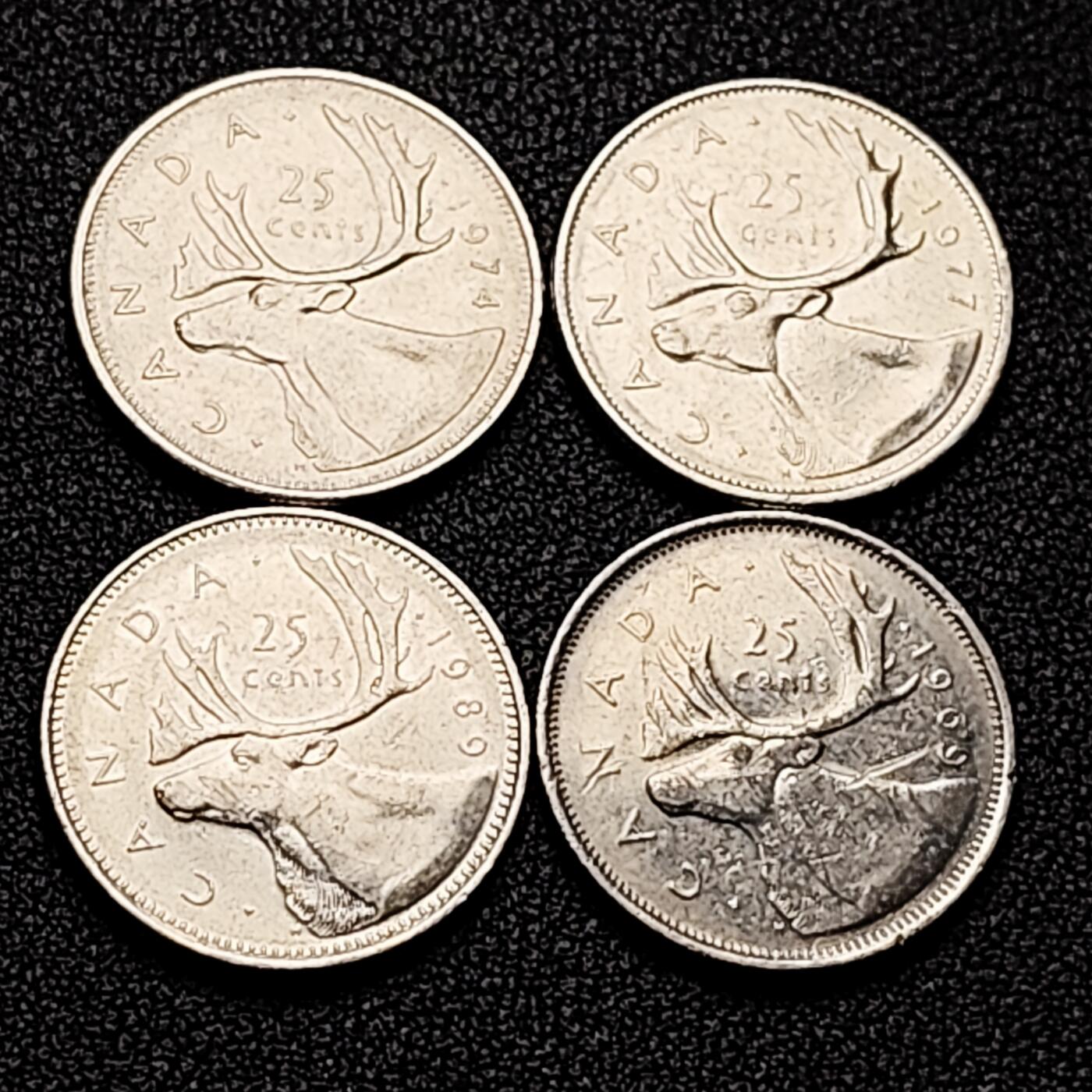 泉币菌-第172场- 精品福利场 。