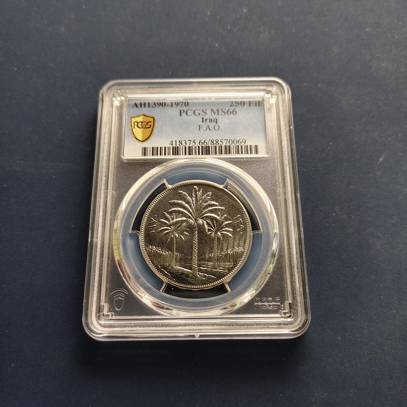 【全场包邮】纯粹捡漏拍497场-持续更新中