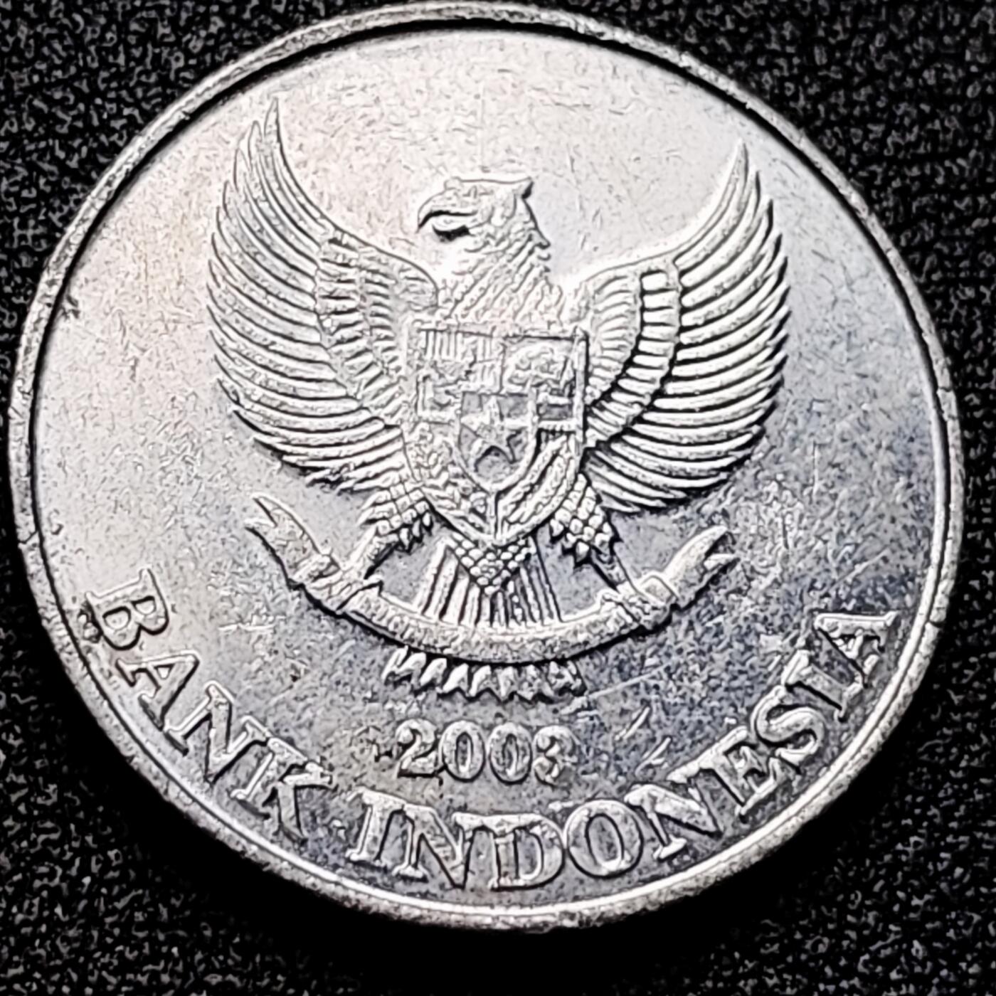 泉币菌-第172场- 精品福利场 。