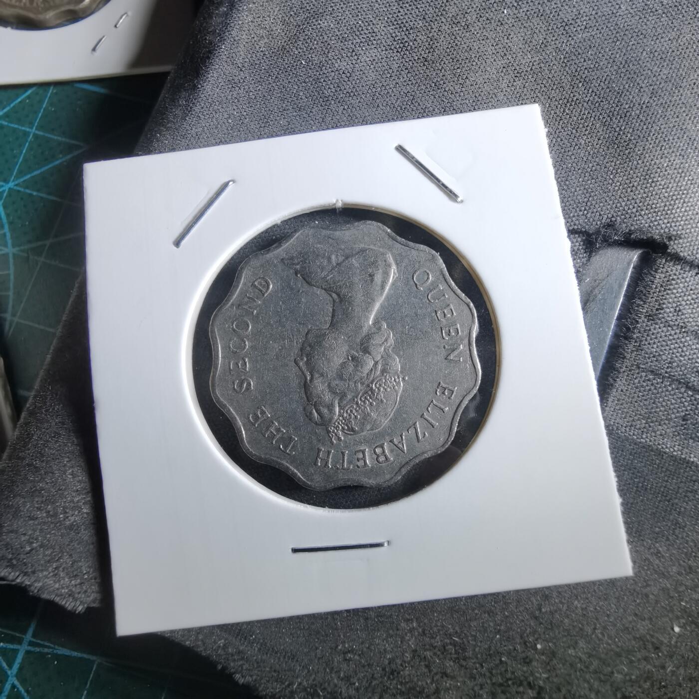 沼泽如烟--第966场 香港1982年二元