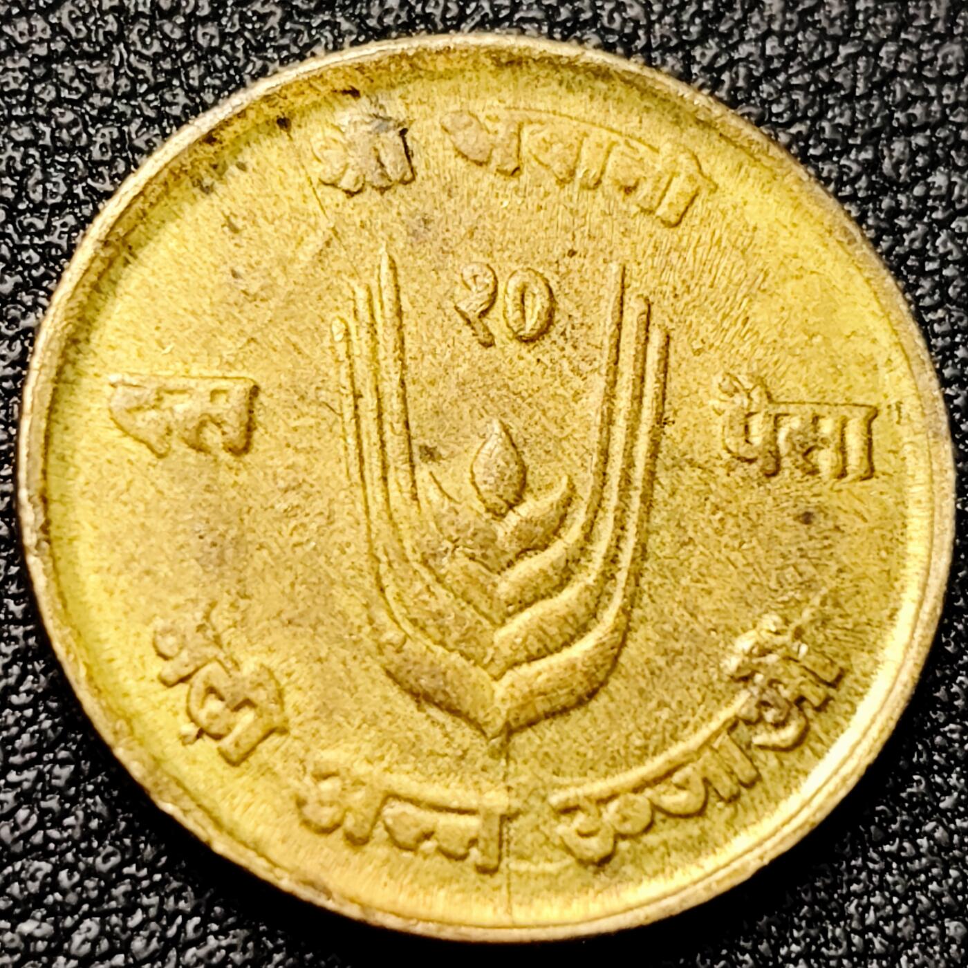 泉币菌-第172场- 精品福利场 。