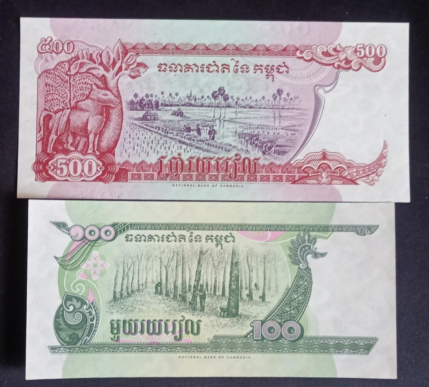 【游宝拍卖】乙巳蛇年第109期 佣金1元起 柬埔寨-500/100瑞尔【1998/1995年 全新UNC/UNC-】