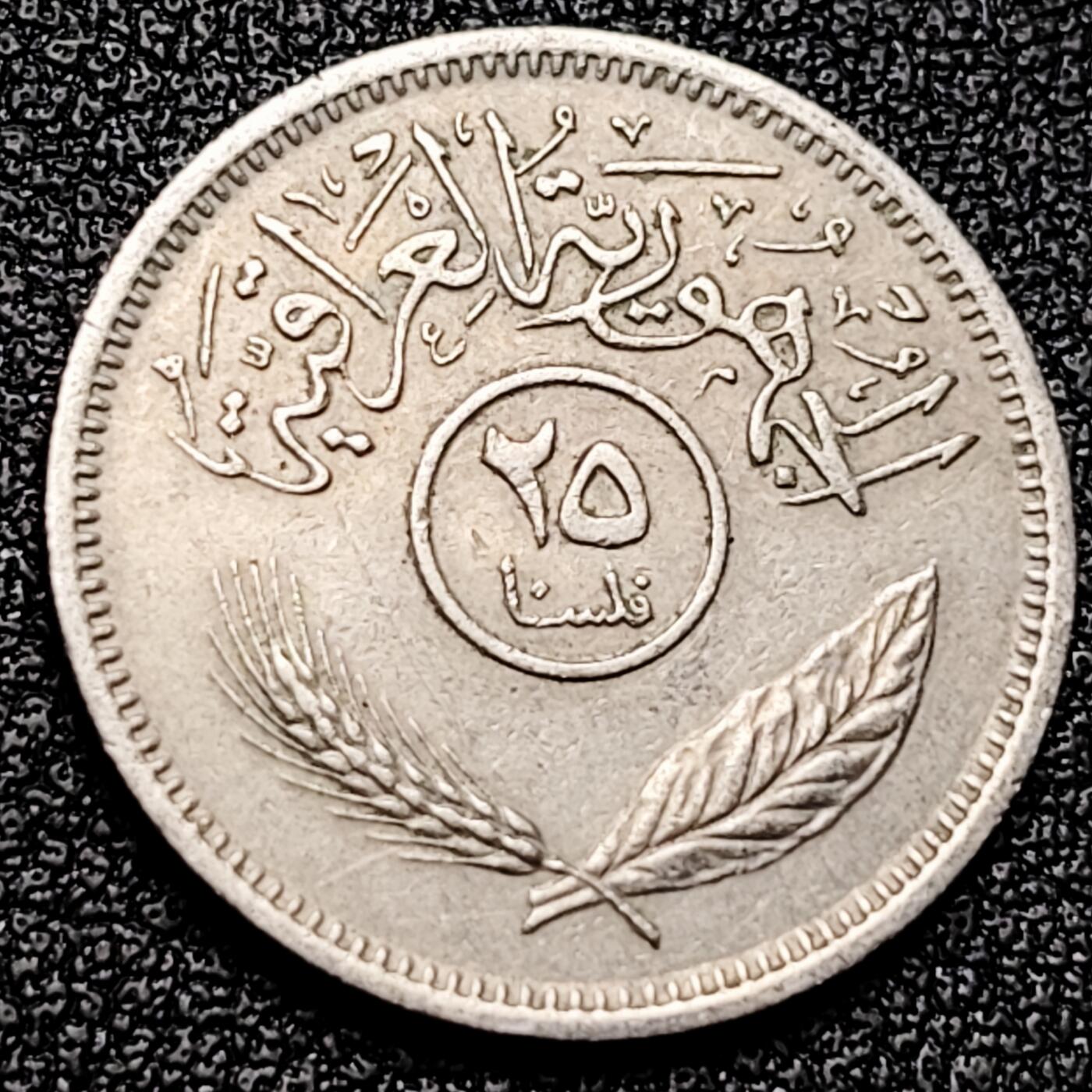 泉币菌-第172场- 精品福利场 。