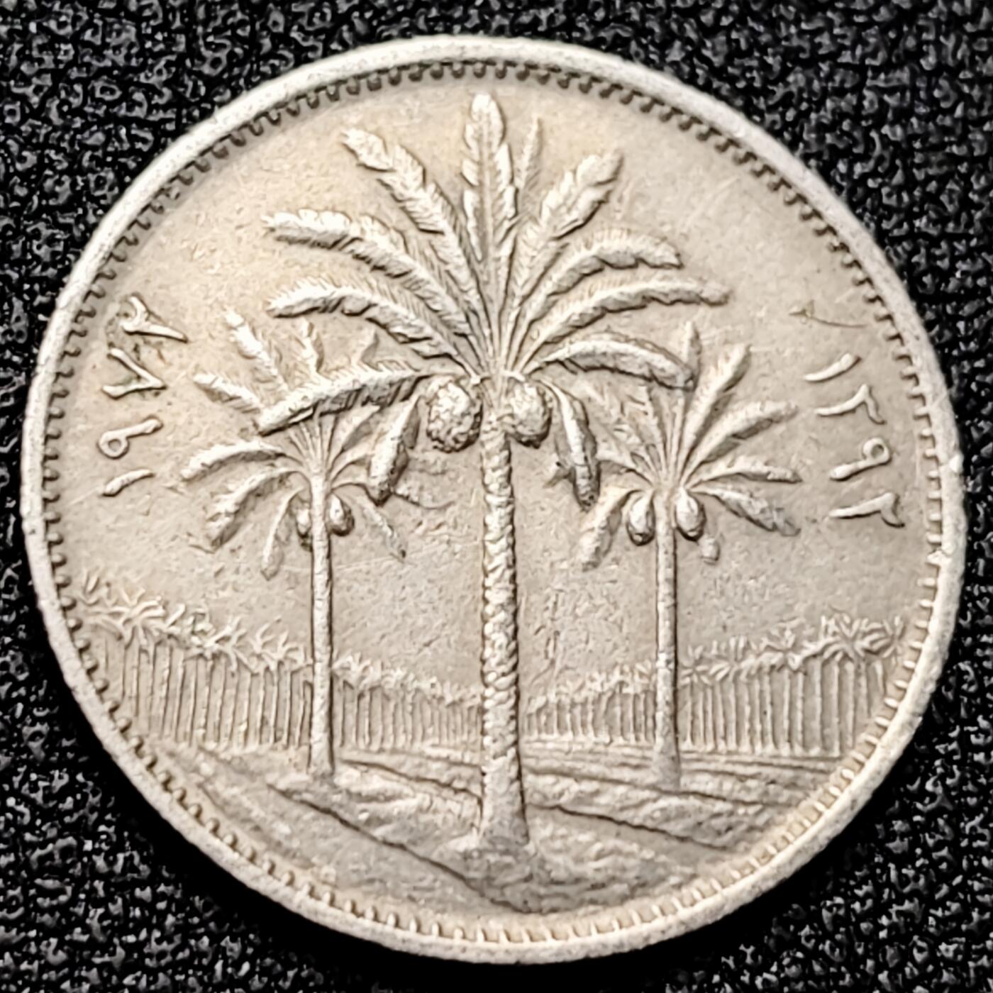 泉币菌-第172场- 精品福利场 。