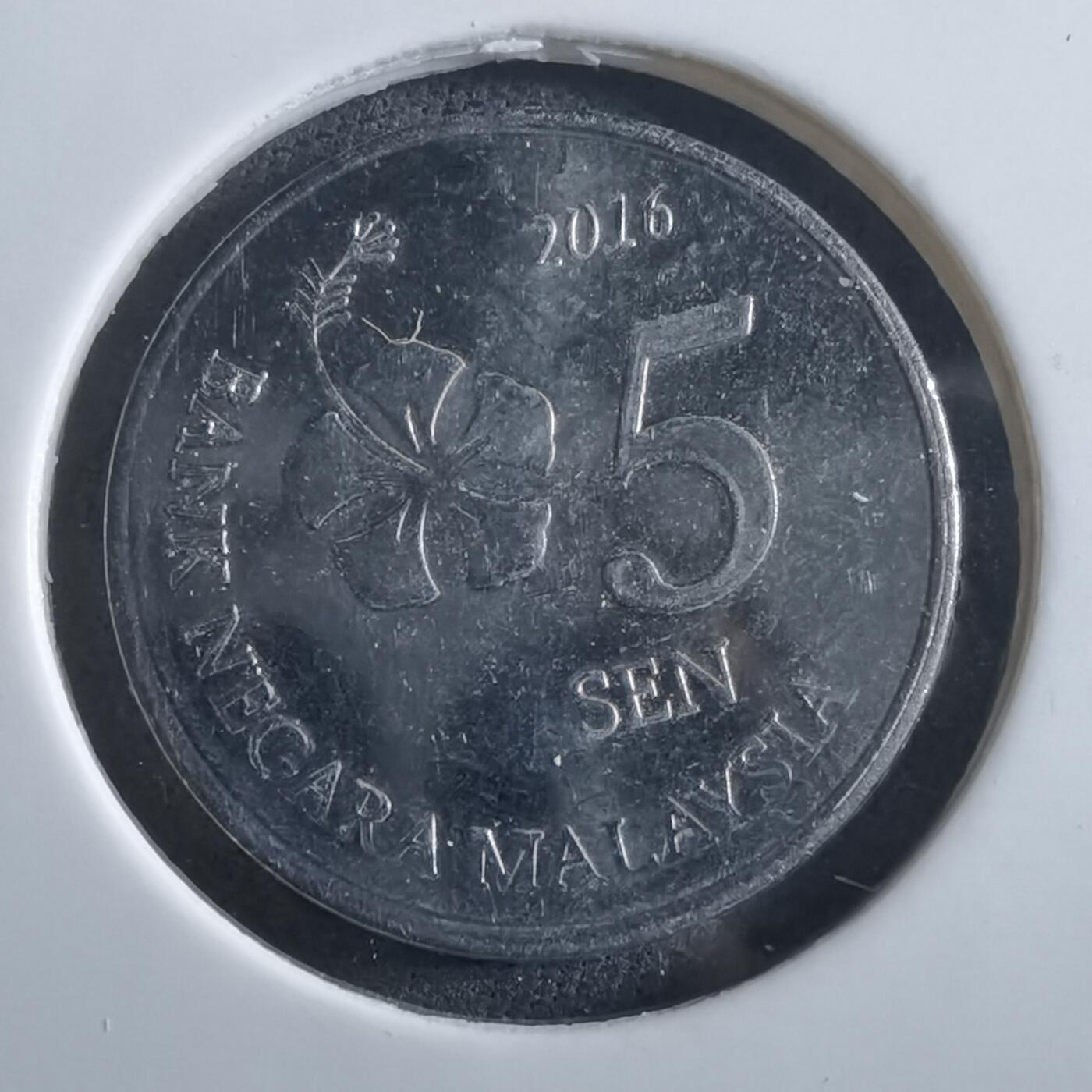 沼泽如烟--第966场