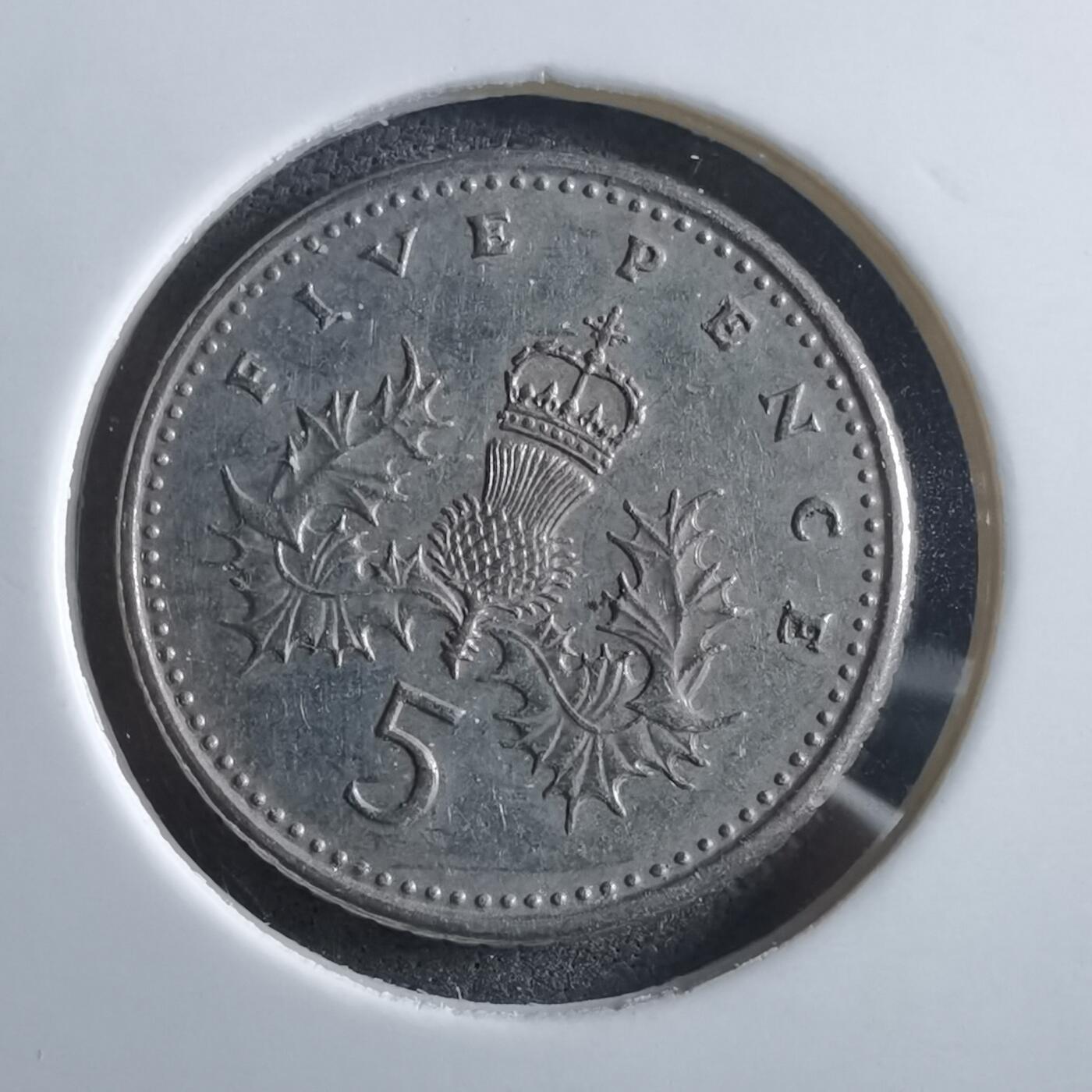 沼泽如烟--第966场