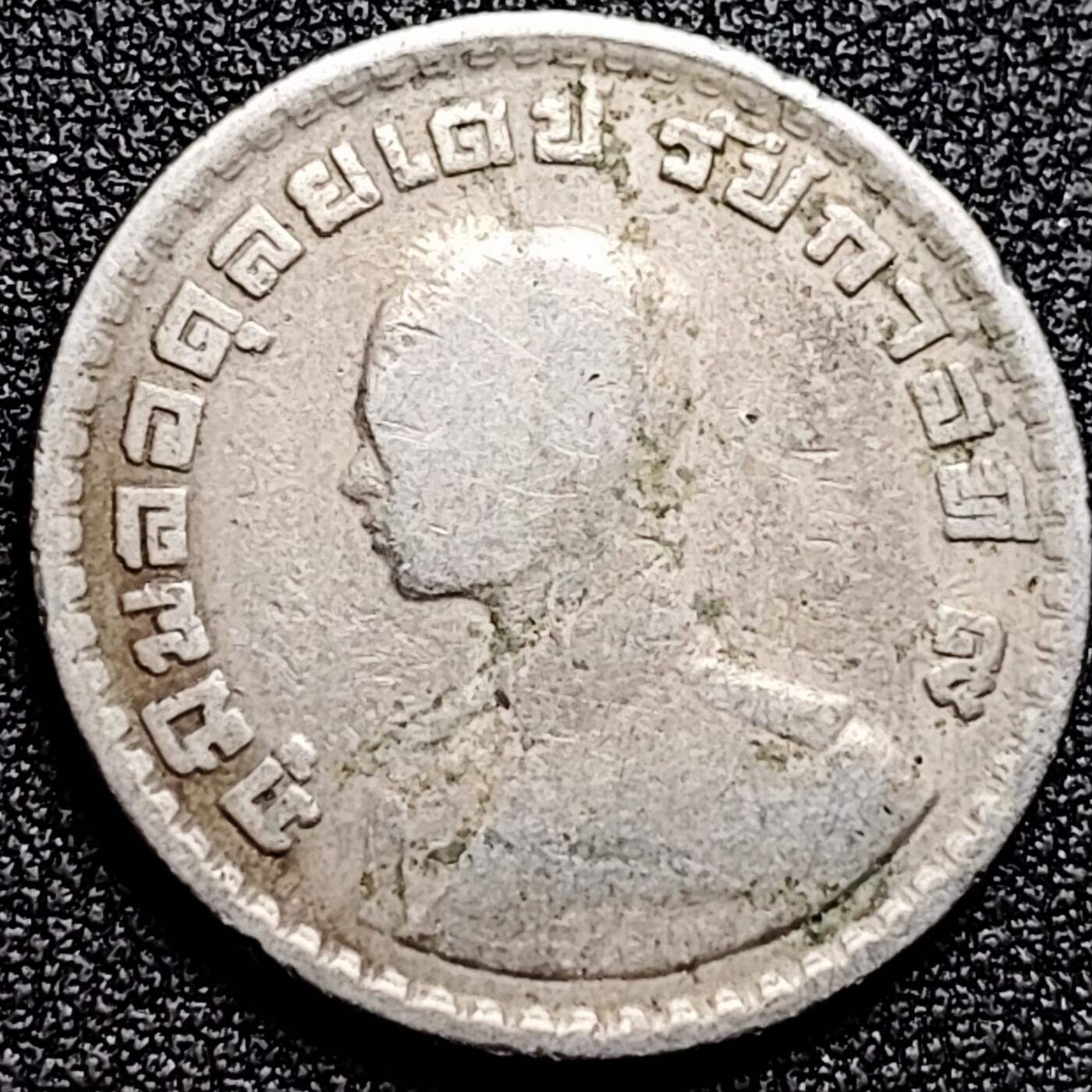 泉币菌-第172场- 精品福利场 。