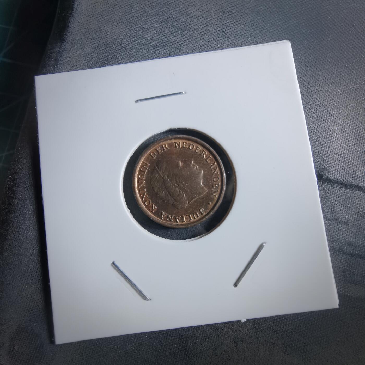 沼泽如烟--第966场