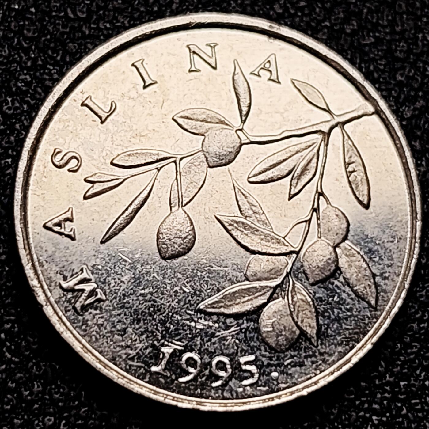 泉币菌-第172场- 精品福利场 。