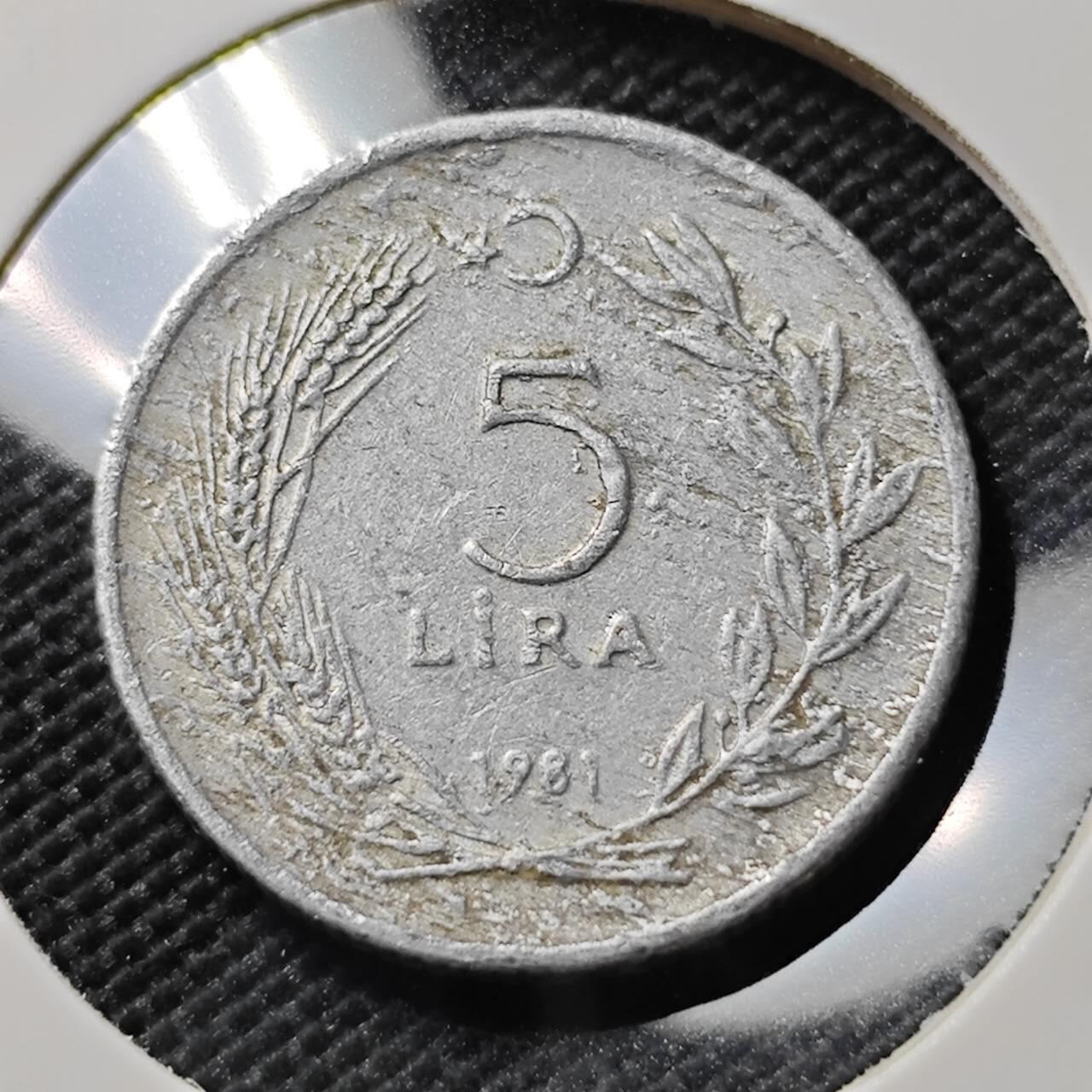 KK钱币收藏小铺  第388期  2月预留时间 周末发货