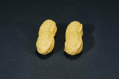 上海都达杂项专场十六（全场包邮） - 段泥仿生紫砂花生一对86-129