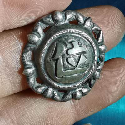 沼泽如烟--第967场 - 银帽花