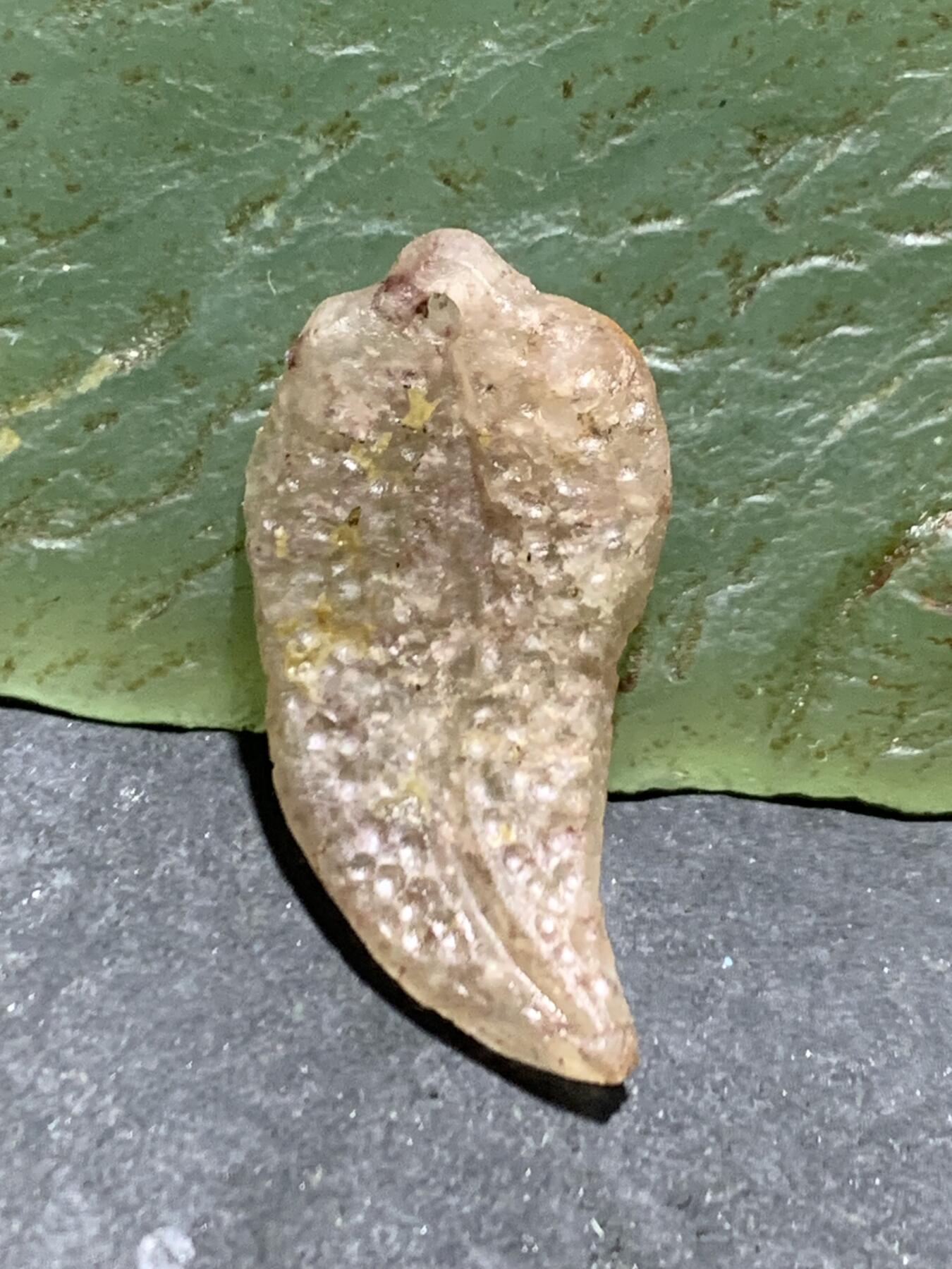 精美亚光战国红玛瑙手工雕刻树叶吊坠（卡子)一个