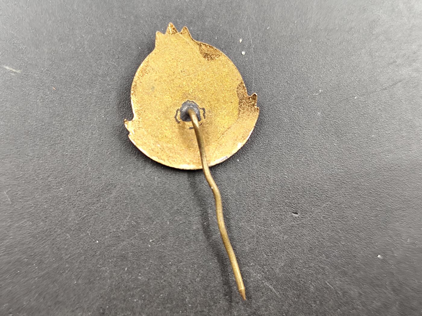 1月18日徽章钱币专场 保加利亚季米特洛夫先锋组织成员徽章