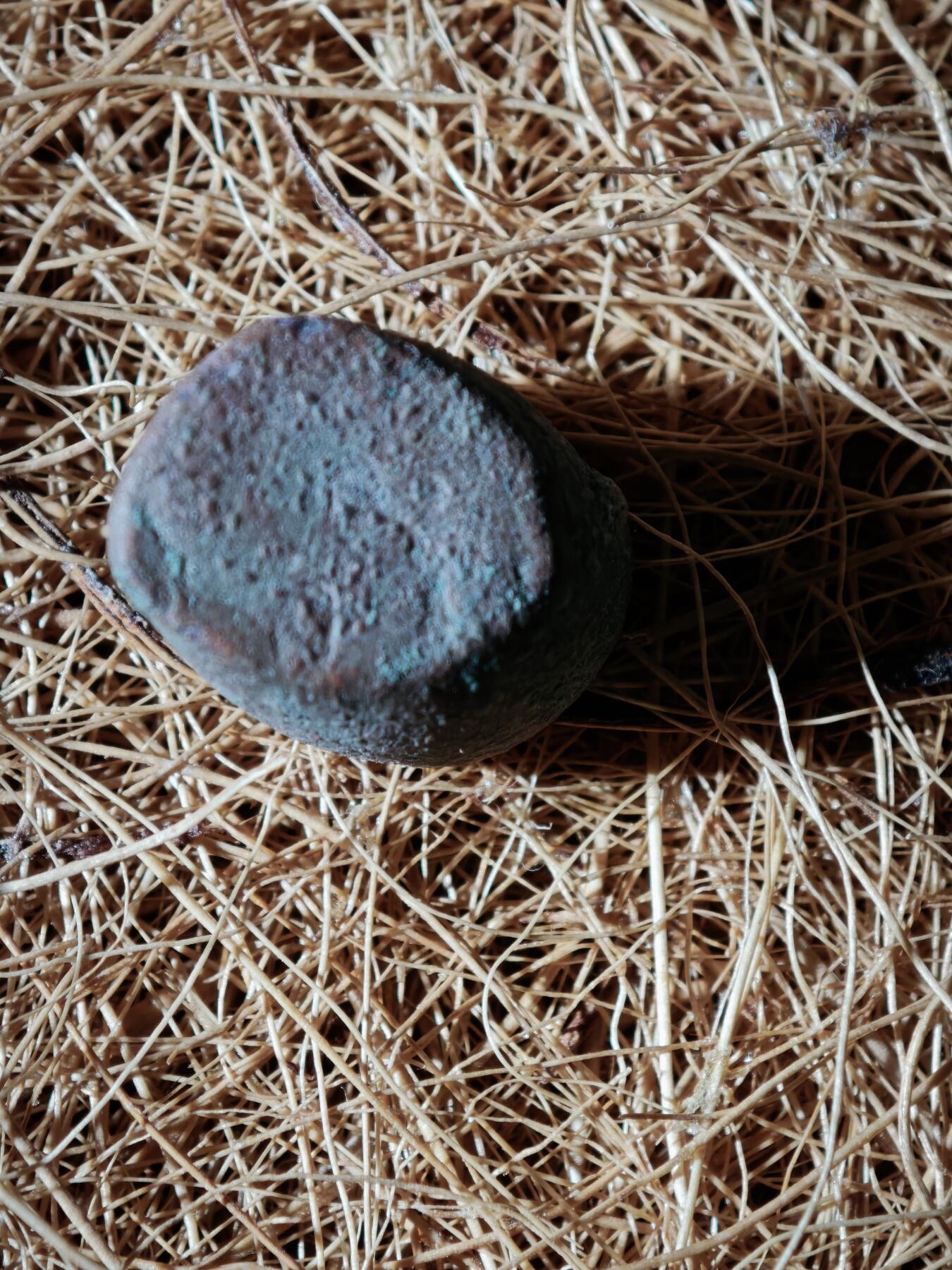 109期新疆红钱粟特钱币丝路钱币专场 丝路钱币