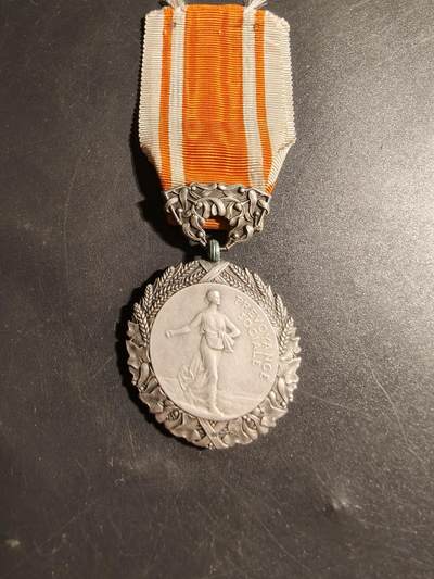 老王徽章第178期 - 法国社会福利部银级社会福利荣誉奖章     950银     26.3g