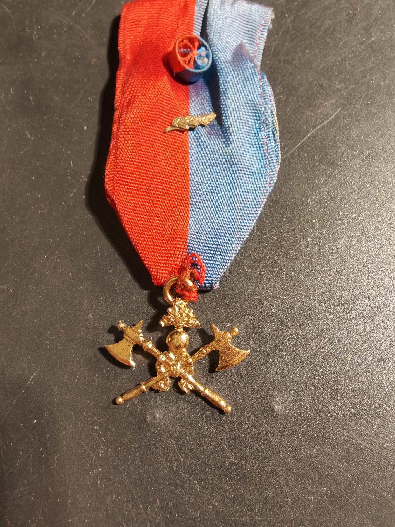 老王徽章第178期 法国消防员协会奖章