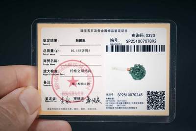 上海都达杂项专场三十四【年后发货全场包邮】  天然和田玉青玉精雕《鱼化龙》挂件 附鉴定证书86-242