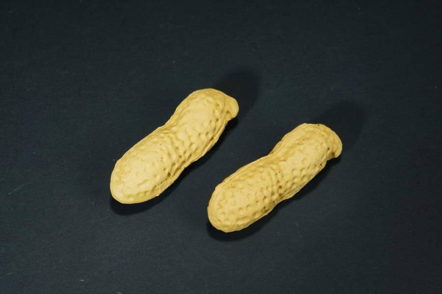 上海都达杂项专场十六（全场包邮） 段泥仿生紫砂花生一对86-129