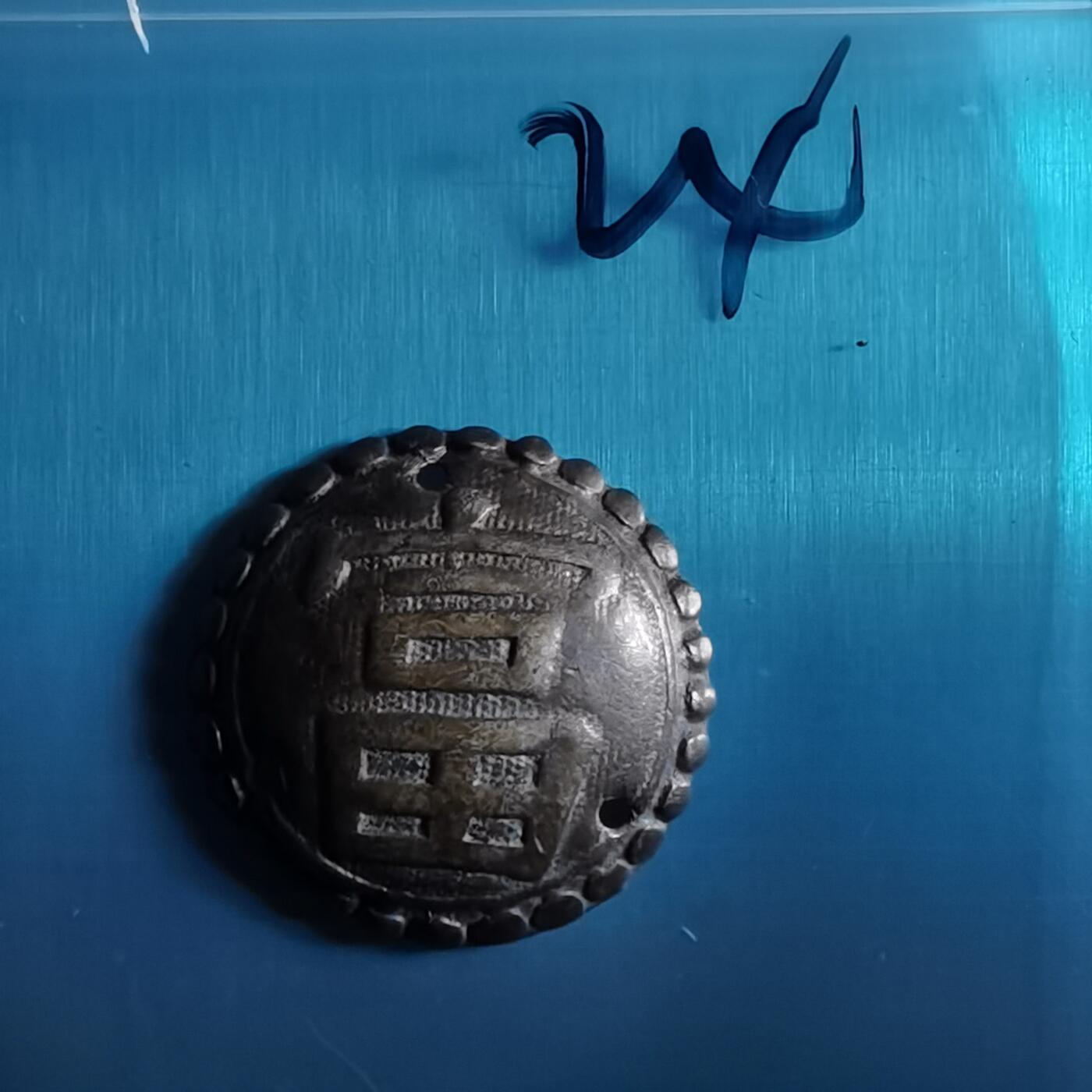 沼泽如烟--第967场 银帽花