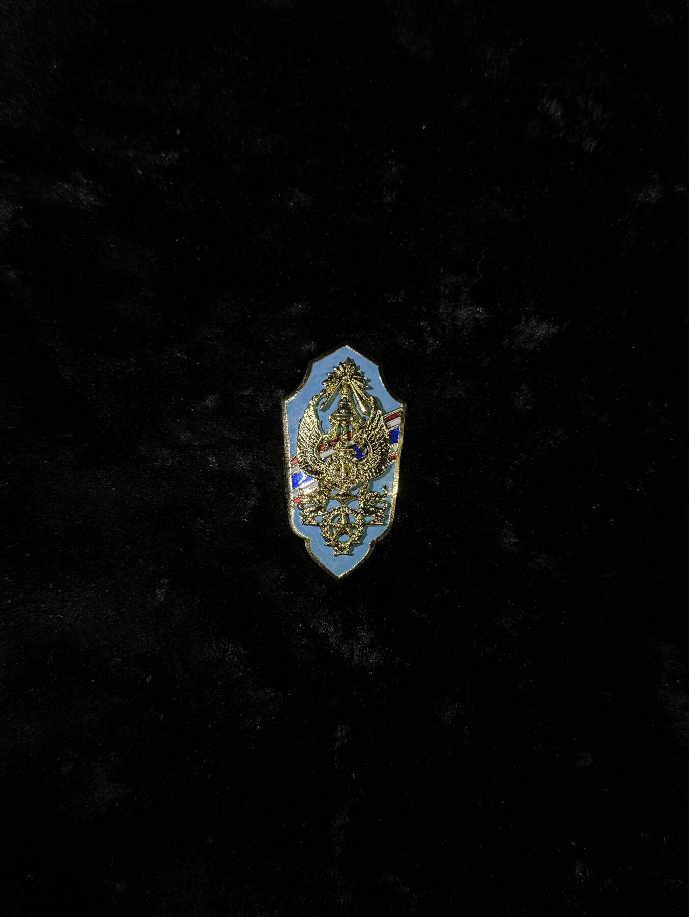 戎马世界章牌大赏第110期