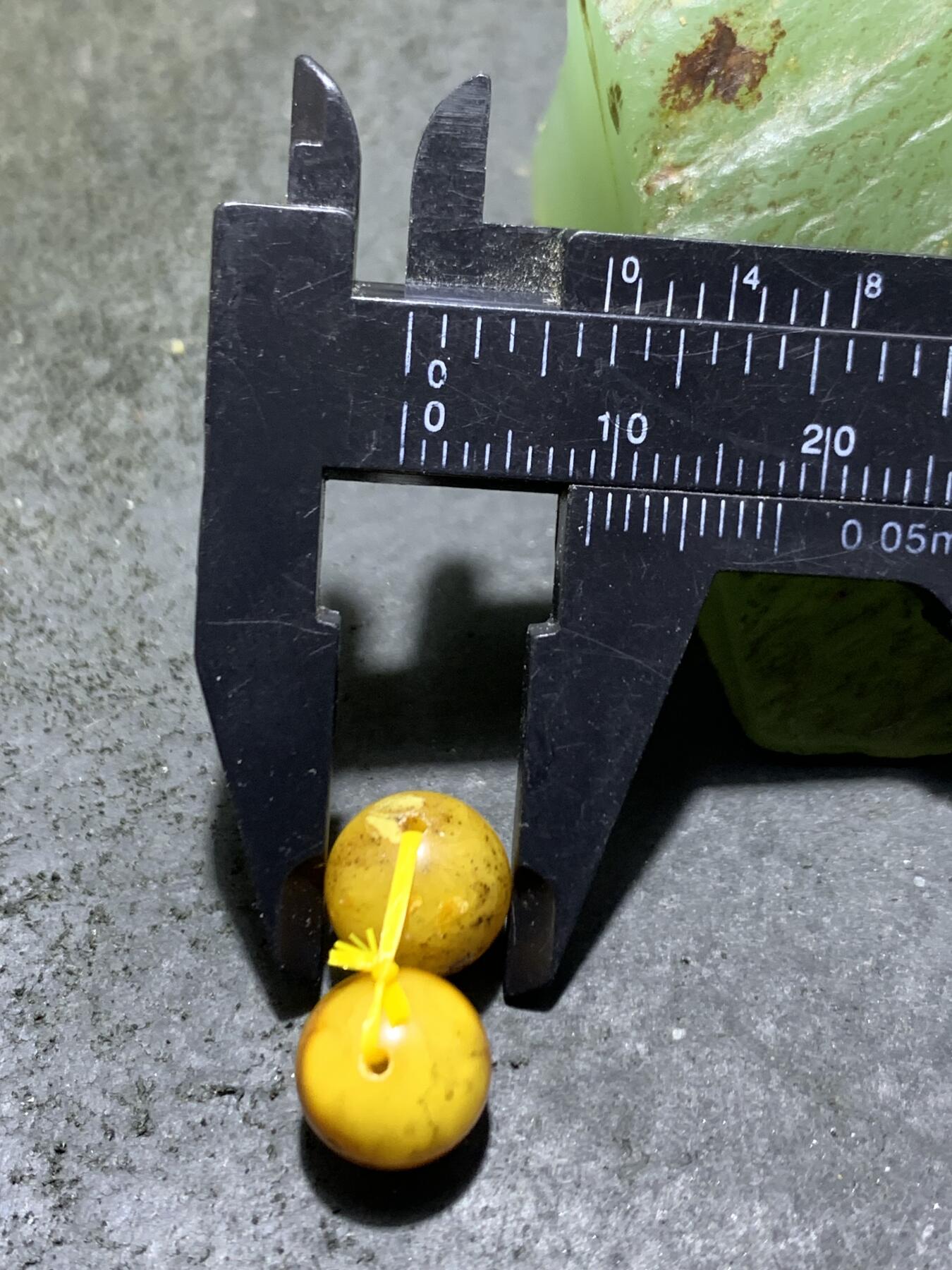 天然俄料蜜蜡通货圆珠一对，