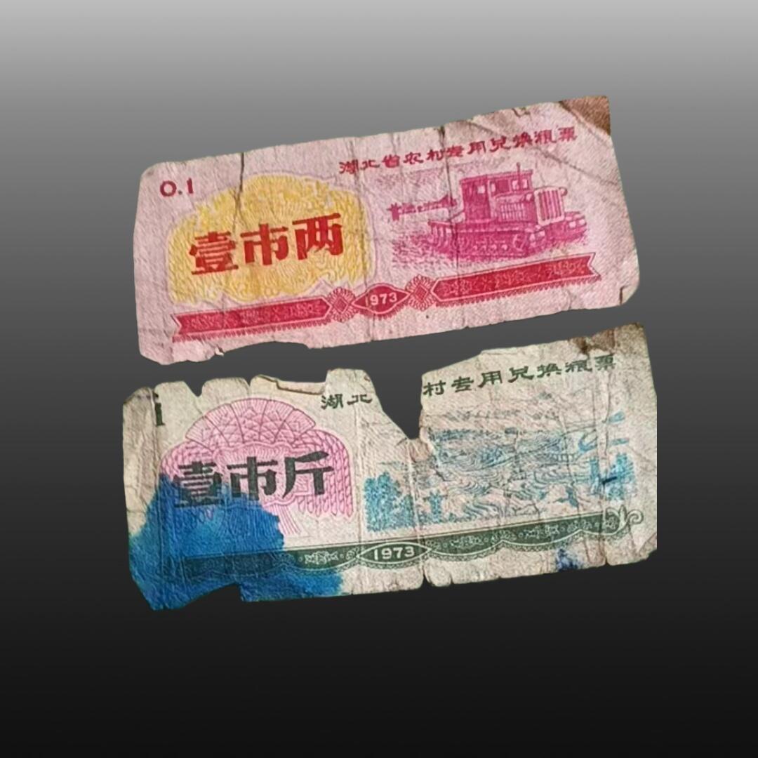 贺春启航--源起 粮票