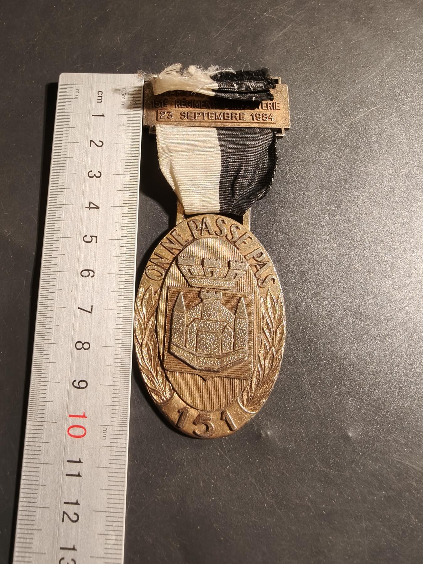 老王徽章第178期 法国第151步兵团一战胜利70周年游行纪念章    该团以凡尔登战役的杰出表现闻名    大尺寸