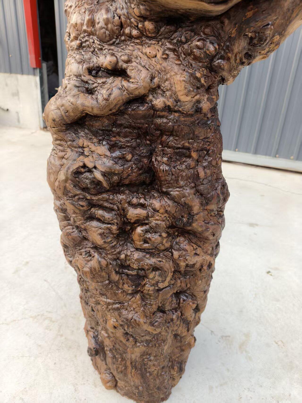 老物件，百年、枣木根雕摆件，造型自然，树瘤纹理清晰，原木材质，保存状态不错，适合茶室、书房、客厅装饰或收藏。