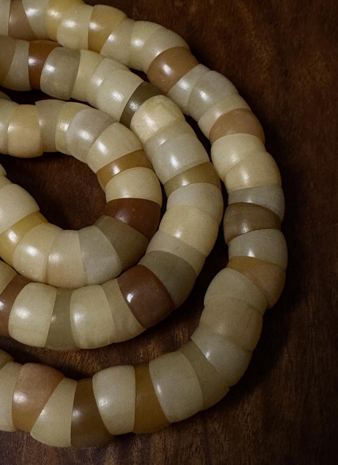 零元拍：润润润小鼻噶彩虹菩提根小肠，8.5MM