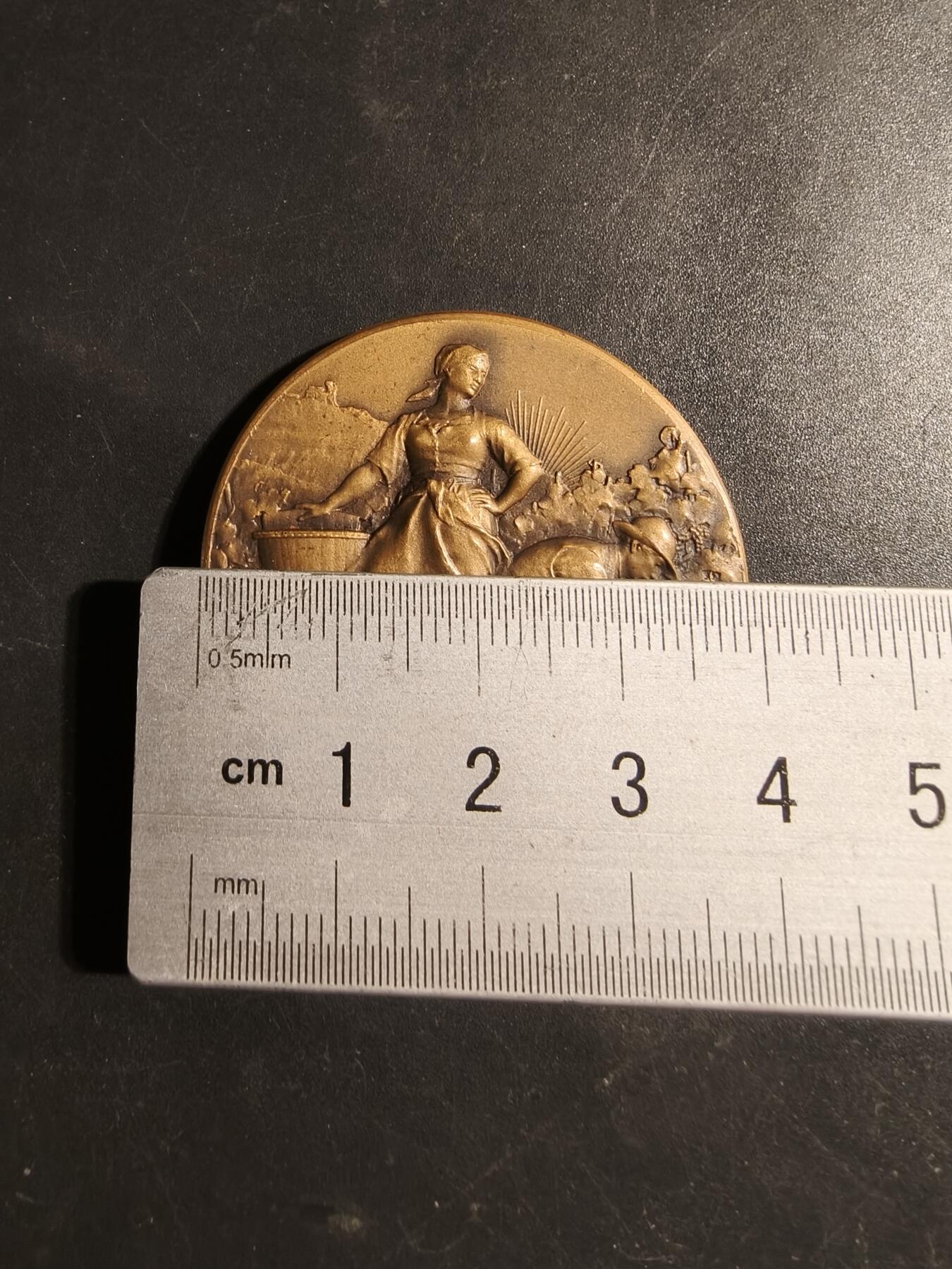 老王徽章第178期 法国沙隆-索昂大区农业和葡萄栽培联盟大铜章      原盒   Vernon作品     直径40mm     重量31.5g