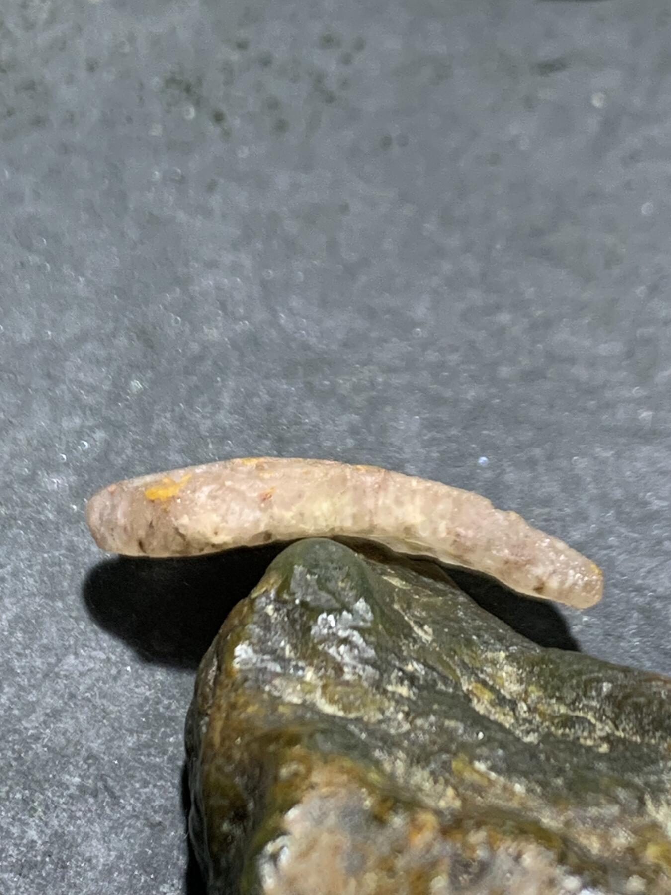 精美亚光战国红玛瑙手工雕刻树叶吊坠（卡子)一个