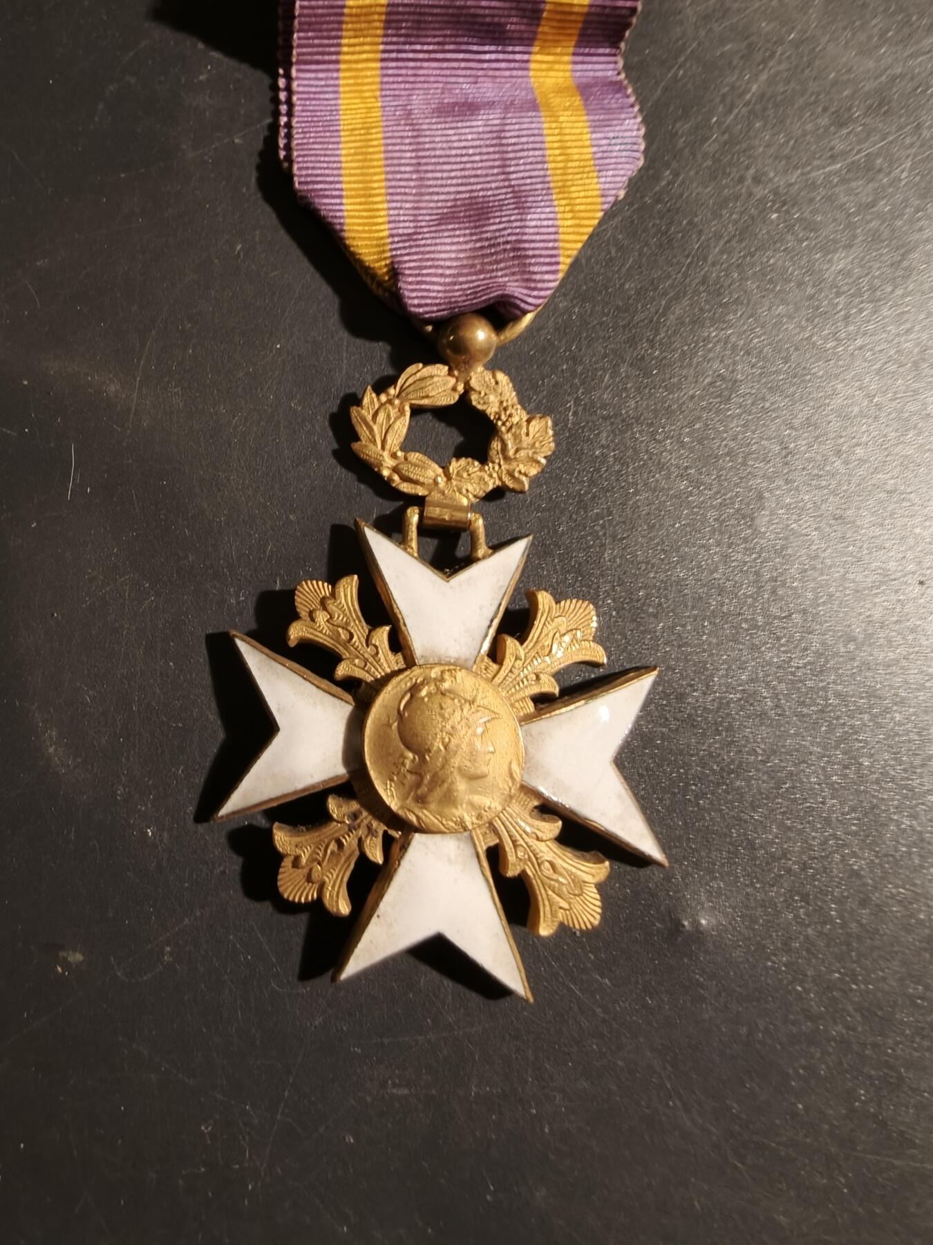 老王徽章第178期 法国骑士级国家鼓励学术发展协会勋章     原盒