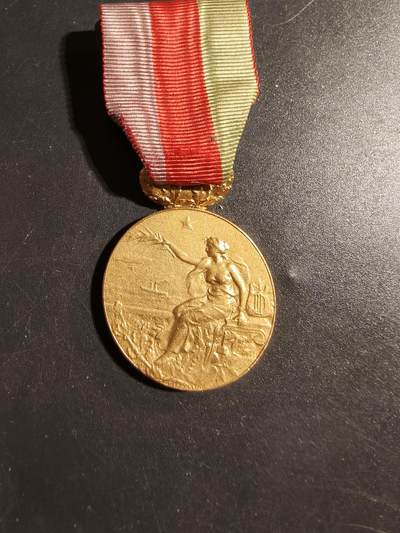 老王徽章第178期 - 法国金级海洋急救协会服务奖章