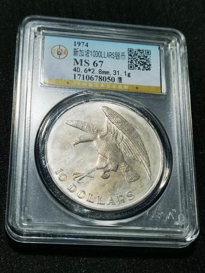 天下钱庄专场欢迎参拍 - 新加坡海鹰10元银币