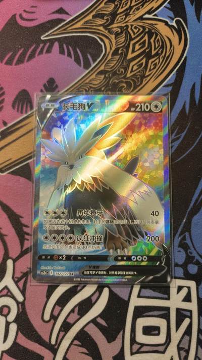 霸总卡牌第一期 - 【高罕】宝可梦长毛狗SR