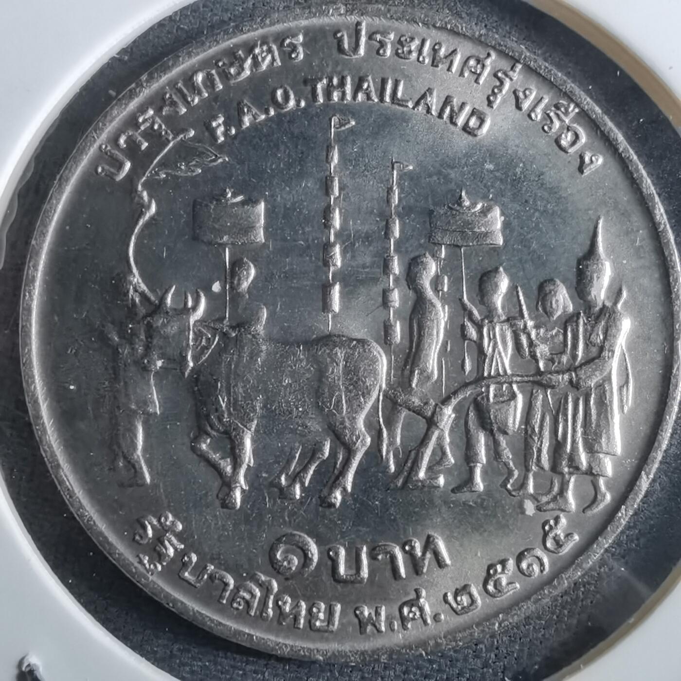 沼泽如烟--第967场 泰国